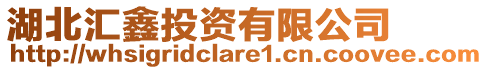 湖北匯鑫投資有限公司