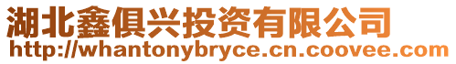 湖北鑫俱興投資有限公司