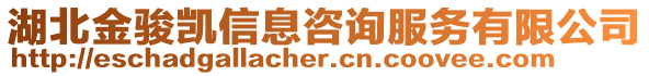 湖北金駿凱信息咨詢服務(wù)有限公司