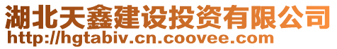 湖北天鑫建設投資有限公司