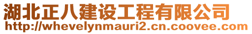 湖北正八建設(shè)工程有限公司