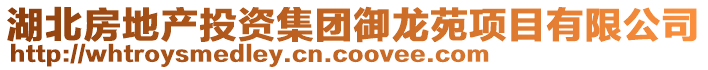 湖北房地產(chǎn)投資集團(tuán)御龍?jiān)讽?xiàng)目有限公司