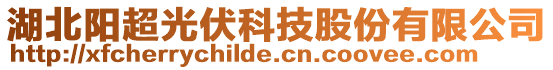 湖北陽超光伏科技股份有限公司