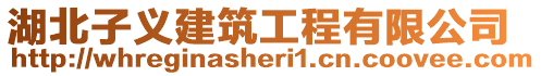 湖北子義建筑工程有限公司