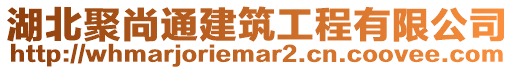湖北聚尚通建筑工程有限公司
