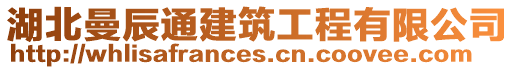 湖北曼辰通建筑工程有限公司