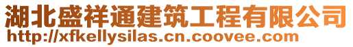 湖北盛祥通建筑工程有限公司