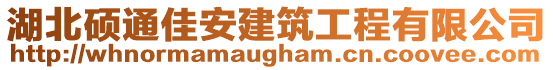 湖北碩通佳安建筑工程有限公司