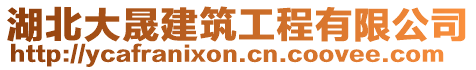 湖北大晟建筑工程有限公司
