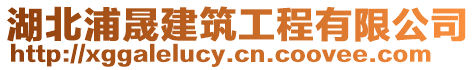 湖北浦晟建筑工程有限公司