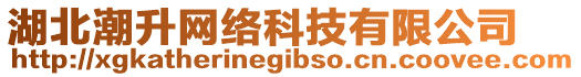 湖北潮升網(wǎng)絡(luò)科技有限公司