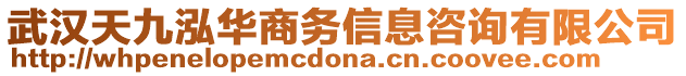 武漢天九泓華商務(wù)信息咨詢有限公司