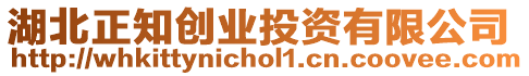 湖北正知?jiǎng)?chuàng)業(yè)投資有限公司