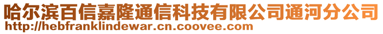 哈尔滨百信嘉隆通信科技有限公司通河分公司