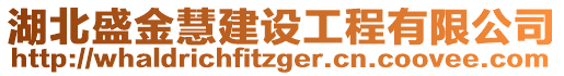 湖北盛金慧建設工程有限公司