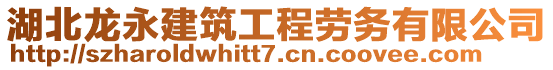 湖北龍永建筑工程勞務(wù)有限公司