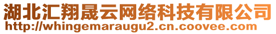 湖北匯翔晟云網(wǎng)絡(luò)科技有限公司