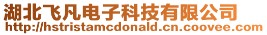 湖北飛凡電子科技有限公司