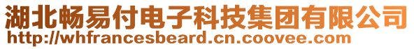 湖北暢易付電子科技集團有限公司