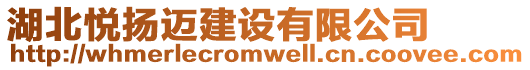 湖北悅揚(yáng)邁建設(shè)有限公司