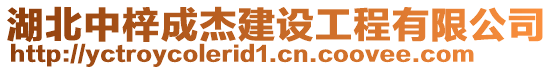 湖北中梓成杰建設(shè)工程有限公司