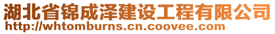 湖北省錦成澤建設(shè)工程有限公司