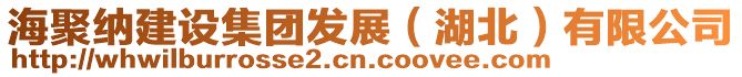 海聚納建設(shè)集團(tuán)發(fā)展（湖北）有限公司