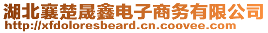 湖北襄楚晟鑫電子商務(wù)有限公司