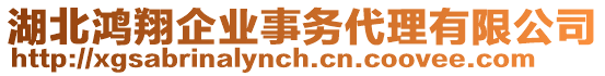 湖北鴻翔企業(yè)事務(wù)代理有限公司