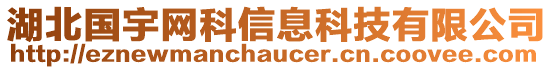 湖北國(guó)宇網(wǎng)科信息科技有限公司