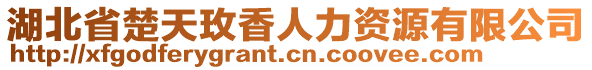 湖北省楚天玫香人力資源有限公司