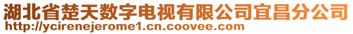 湖北省楚天數(shù)字電視有限公司宜昌分公司