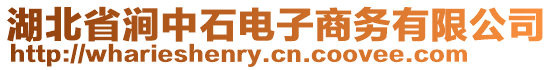 湖北省澗中石電子商務(wù)有限公司