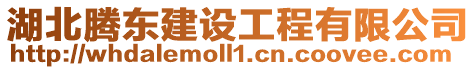 湖北騰東建設(shè)工程有限公司