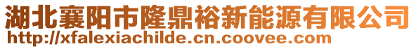 湖北襄陽市隆鼎裕新能源有限公司