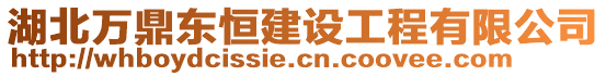 湖北萬鼎東恒建設(shè)工程有限公司