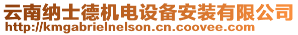 云南納士德機(jī)電設(shè)備安裝有限公司