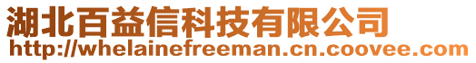 湖北百益信科技有限公司