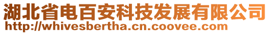 湖北省電百安科技發(fā)展有限公司