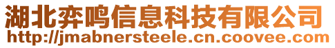 湖北弈鳴信息科技有限公司