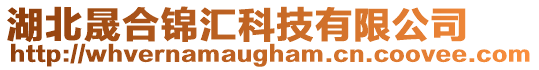 湖北晟合錦匯科技有限公司
