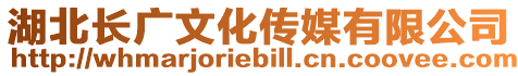湖北長(zhǎng)廣文化傳媒有限公司