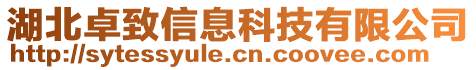 湖北卓致信息科技有限公司