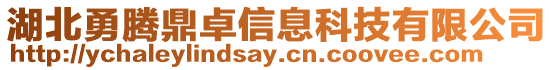 湖北勇騰鼎卓信息科技有限公司