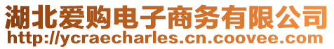湖北愛購電子商務(wù)有限公司