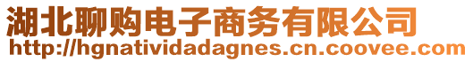 湖北聊購(gòu)電子商務(wù)有限公司