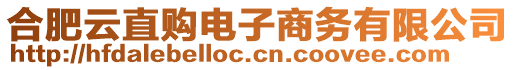 合肥云直購(gòu)電子商務(wù)有限公司