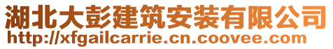 湖北大彭建筑安裝有限公司