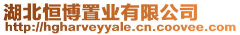 湖北恒博置業(yè)有限公司
