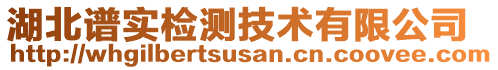 湖北譜實(shí)檢測技術(shù)有限公司